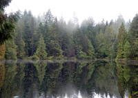 Mundy Park